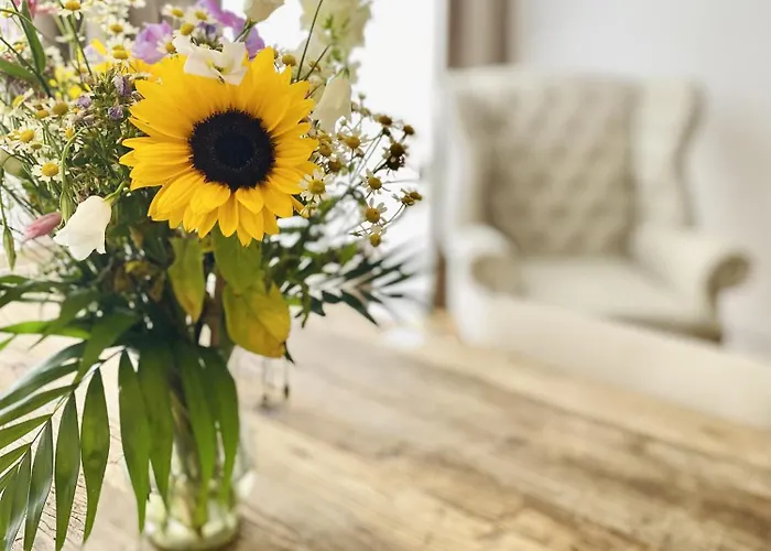 Отель Ruegen Остзебад Бинц